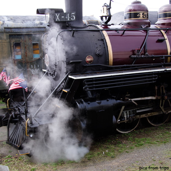 skunk train2011d26c044.jpg